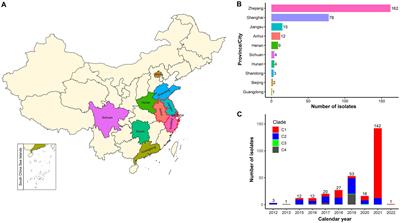 Population genomic analysis of clinical ST15 Klebsiella pneumoniae strains in China